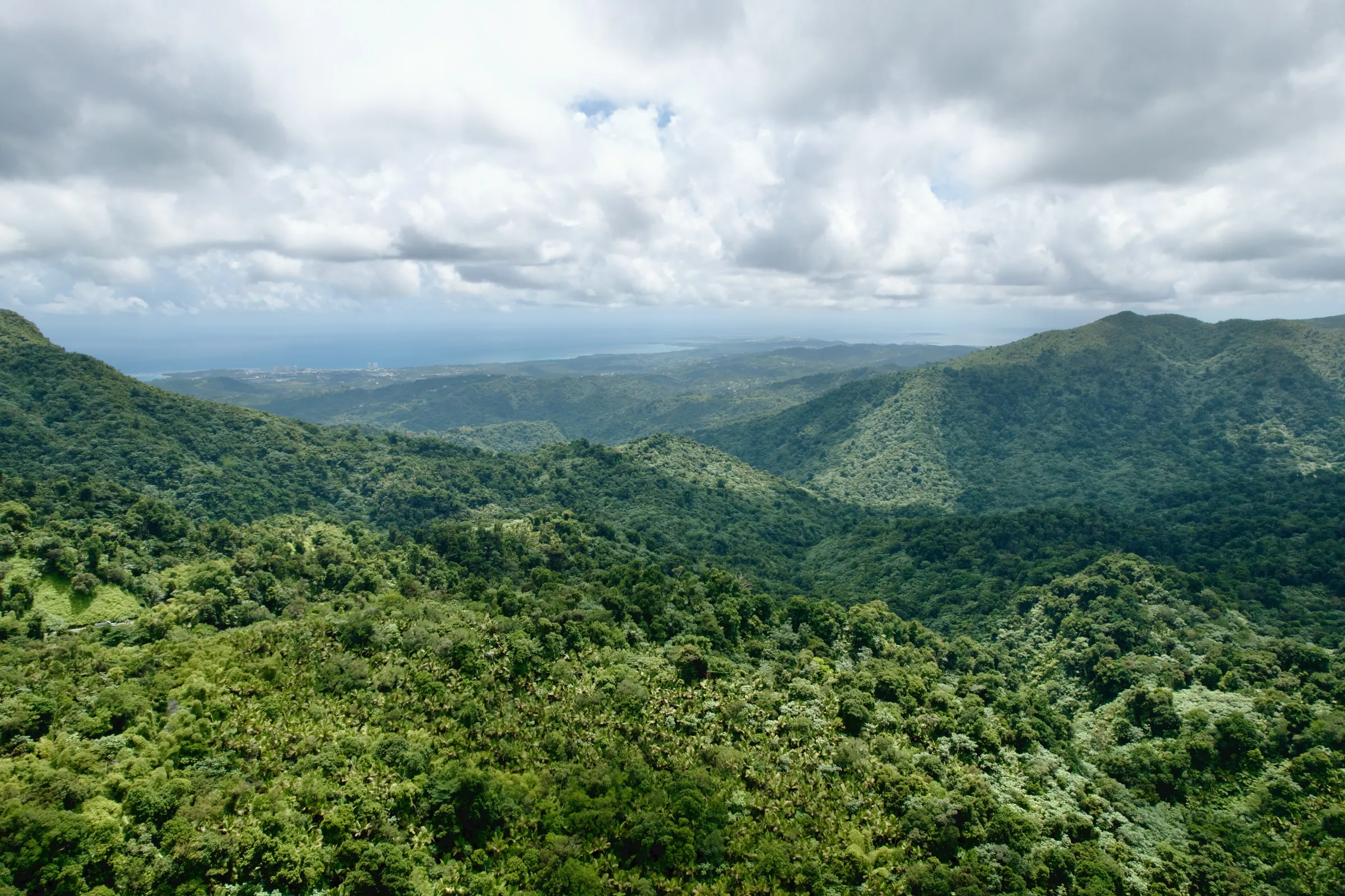 Aerial view of the lush green El Yunque rainforest mountains rolling down to the Puerto Rico coastline.