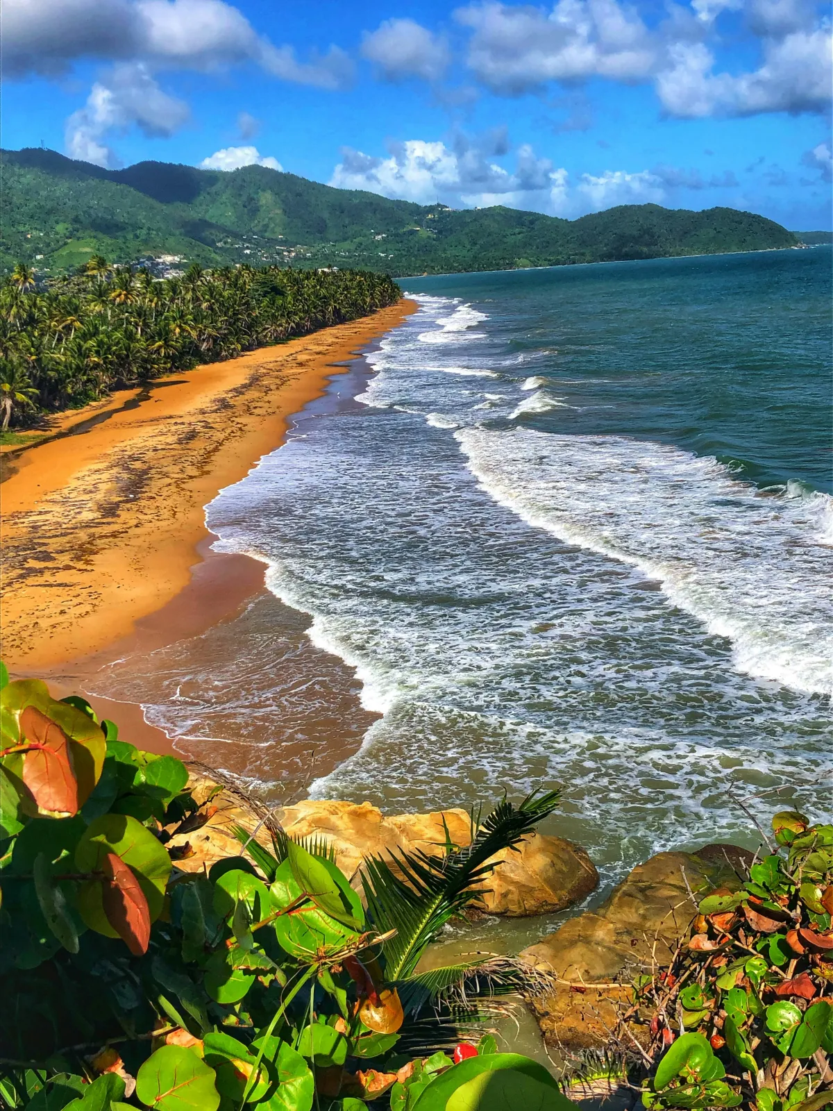 Golden sand beach with rolling waves and lush greenery.
